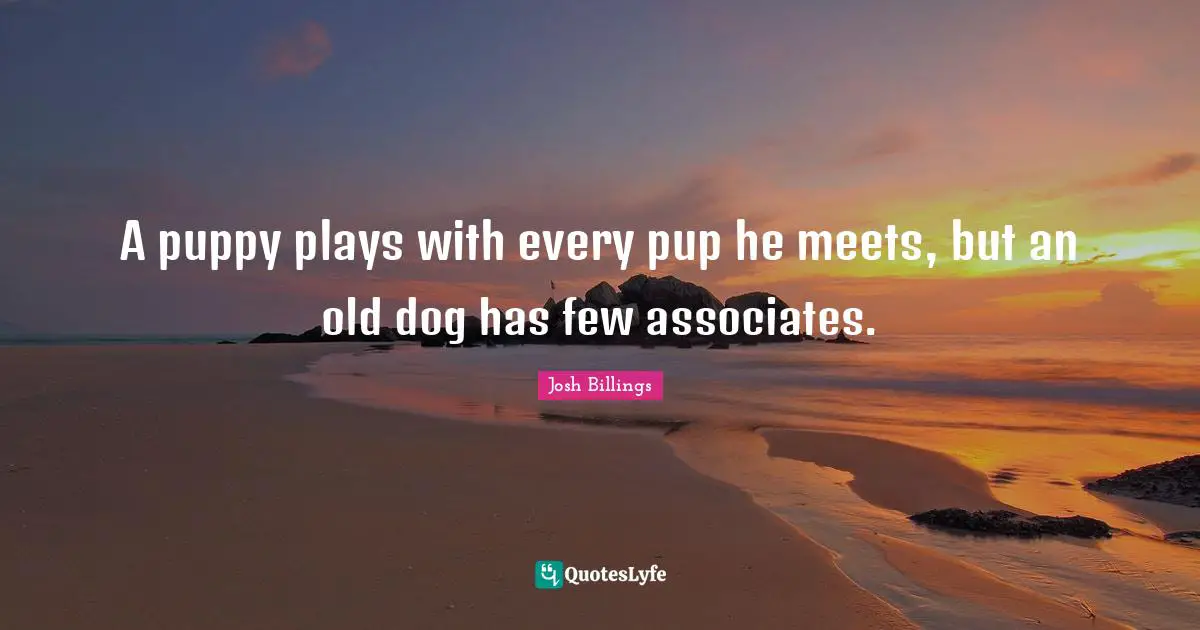 A puppy plays with every pup he meets, but an old dog has few associates.