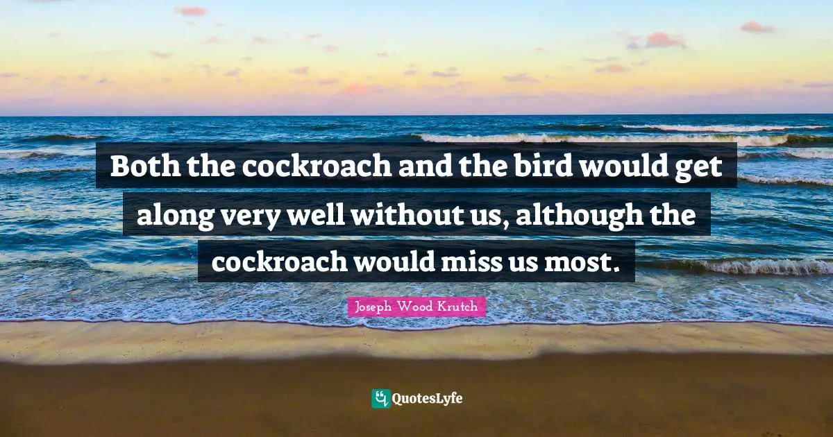 Both the cockroach and the bird would get along very well without us, although the cockroach would miss us most.