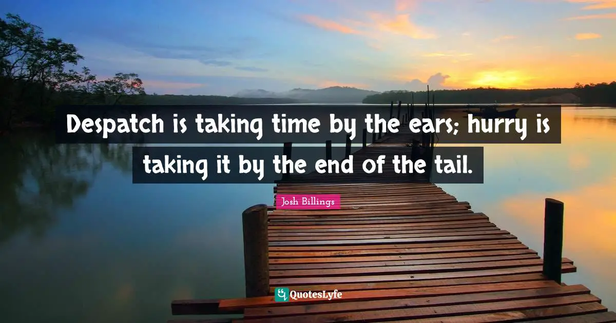 Despatch is taking time by the ears; hurry is taking it by the end of the tail.