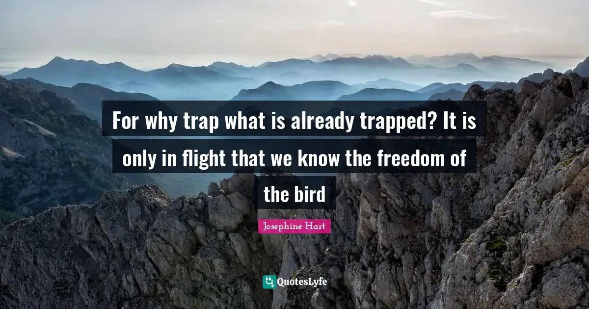 For why trap what is already trapped? It is only in flight that we know the freedom of the bird