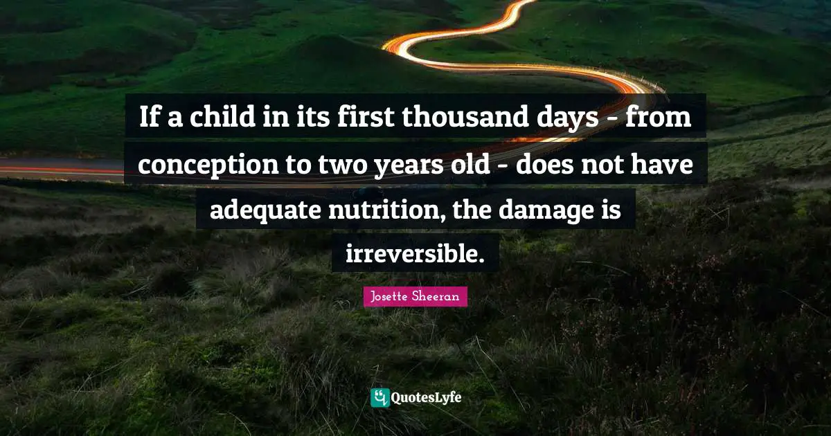 Irreversible Quotes: "If a child in its first thousand days - from conception to two years old - does not have adequate nutrition, the damage is irreversible."