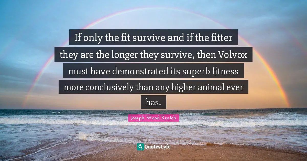 Joseph Wood Krutch Quotes: "If only the fit survive and if the fitter they are the longer they survive, then Volvox must have demonstrated its superb fitness more conclusively than any higher animal ever has."