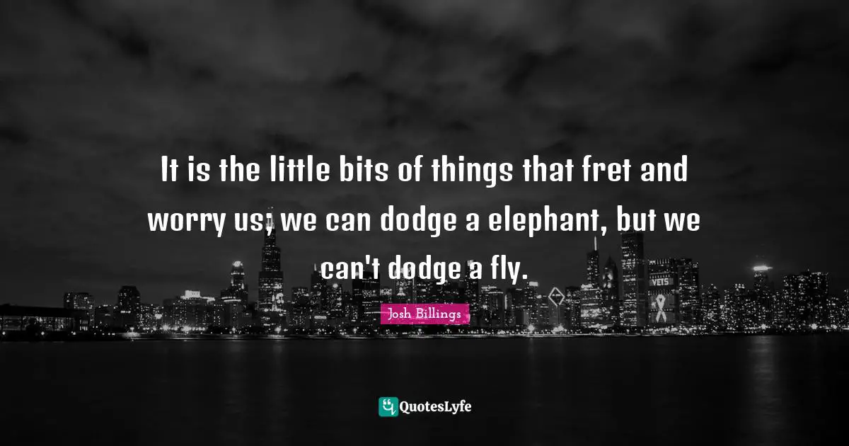 It is the little bits of things that fret and worry us; we can dodge a elephant, but we can't dodge a fly.
