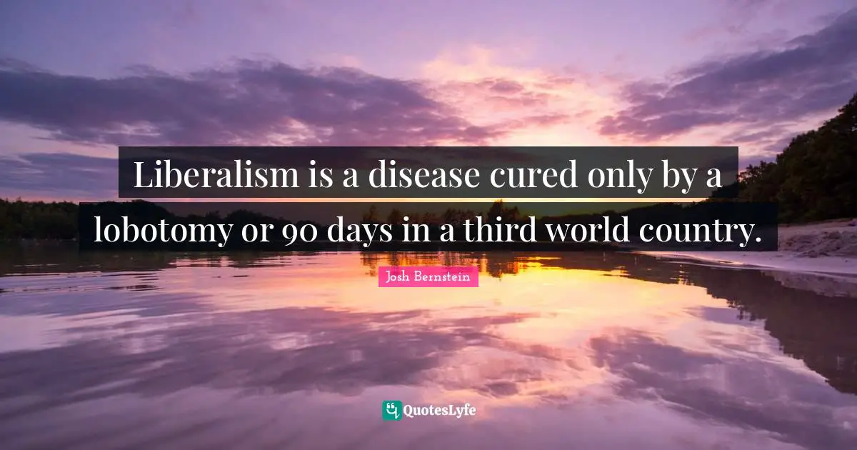 Liberalism is a disease cured only by a lobotomy or 90 days in a third world country.