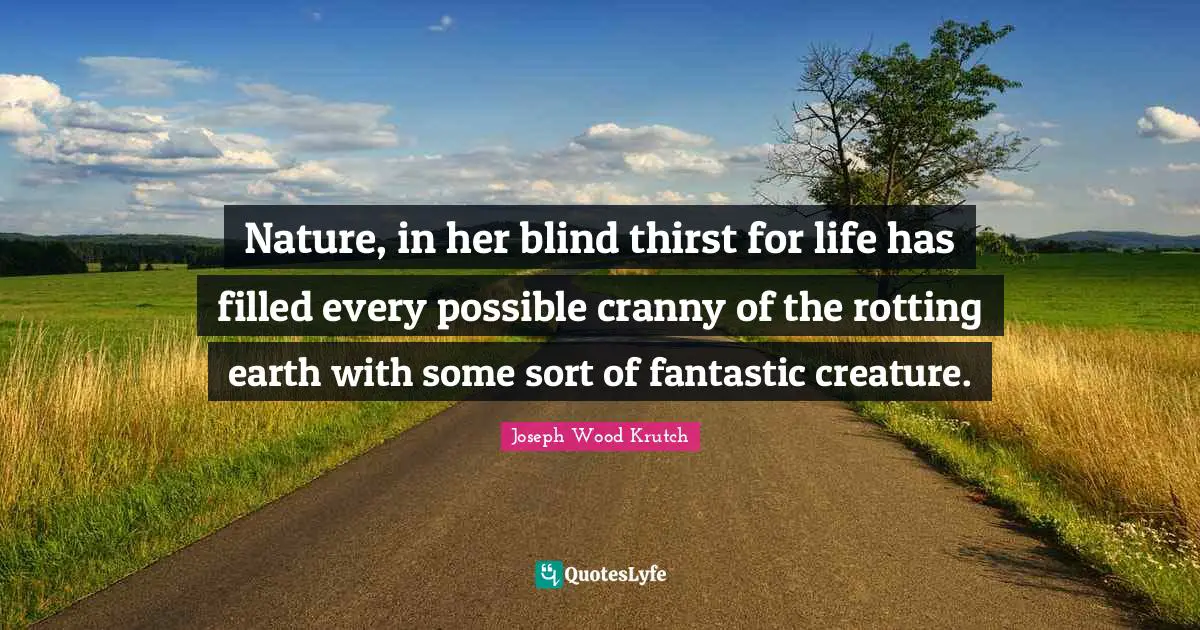 Nature, in her blind thirst for life has filled every possible cranny of the rotting earth with some sort of fantastic creature.