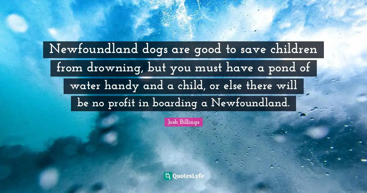 Newfoundland dogs are good to save children from drowning, but you must have a pond of water handy and a child, or else there will be no profit in boarding a Newfoundland.