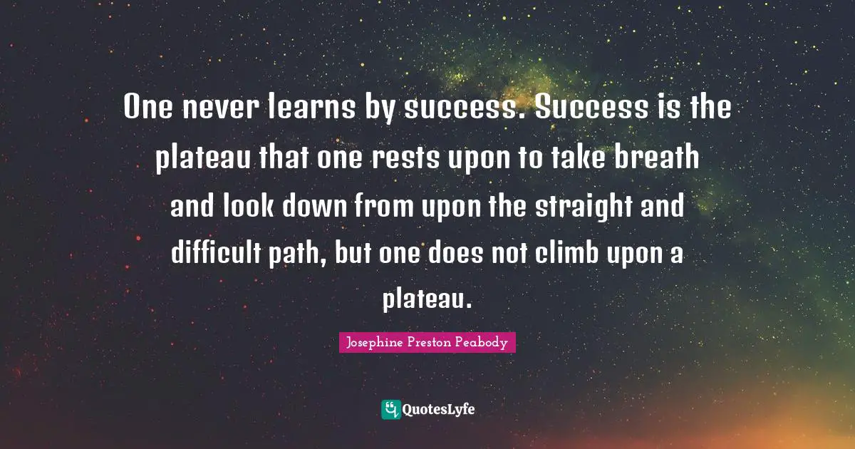 One never learns by success. Success is the plateau that one rests upon to take breath and look down from upon the straight and difficult path, but one does not climb upon a plateau.
