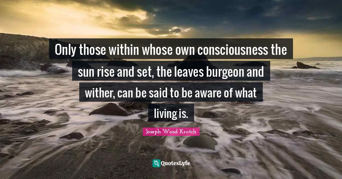 Joseph Wood Krutch Quotes: "Only those within whose own consciousness the sun rise and set, the leaves burgeon and wither, can be said to be aware of what living is."