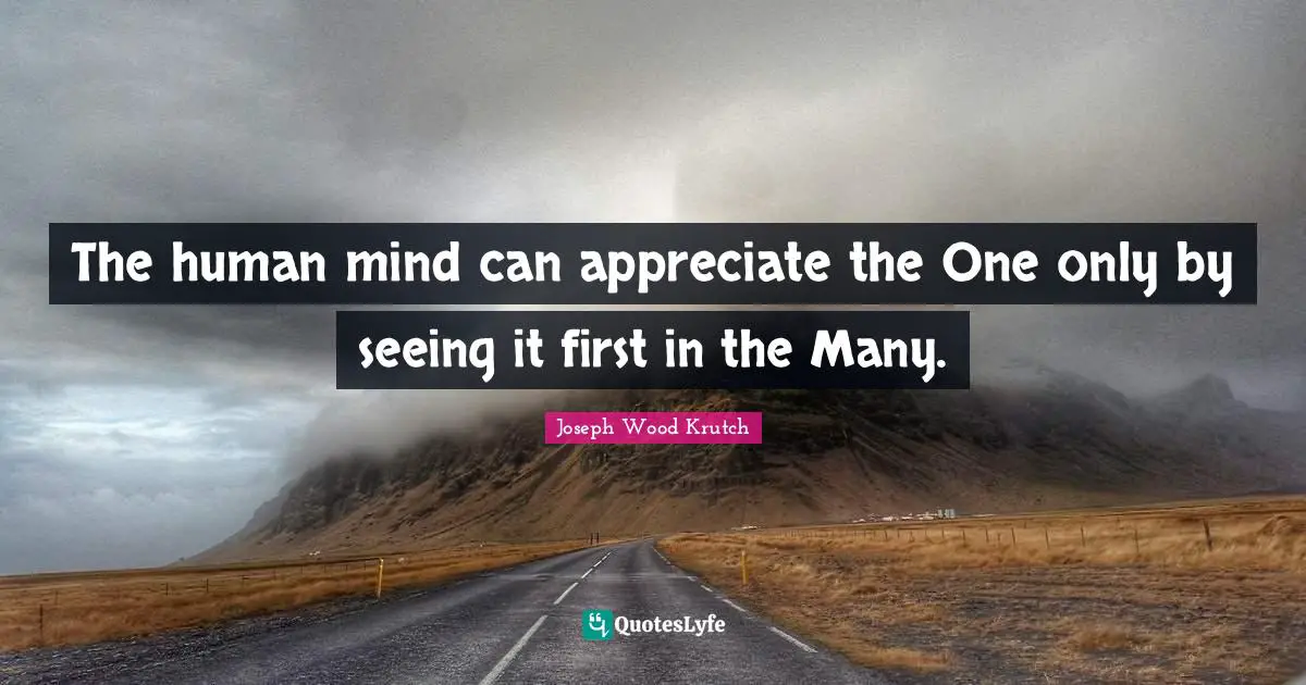 The human mind can appreciate the One only by seeing it first in the Many.