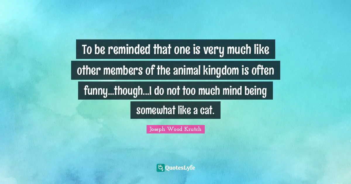 To be reminded that one is very much like other members of the animal kingdom is often funny...though...I do not too much mind being somewhat like a cat.
