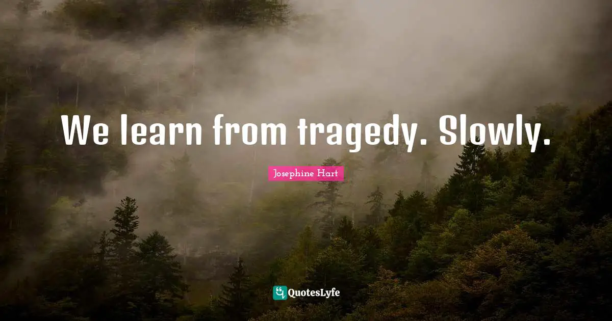 We learn from tragedy. Slowly.