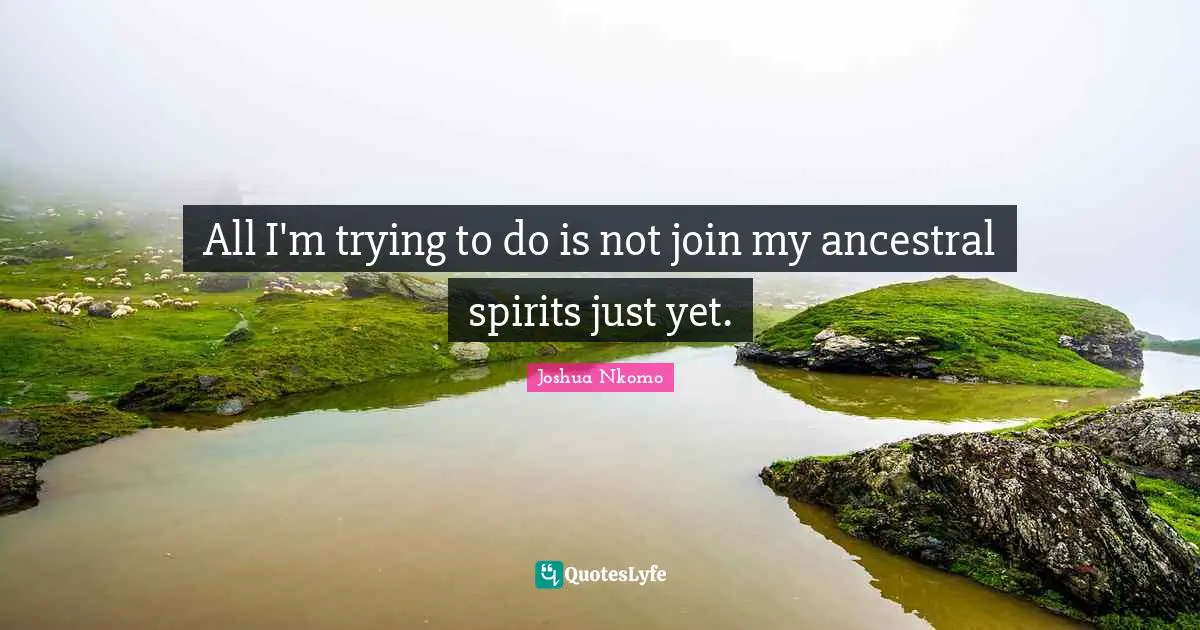 Joshua Nkomo Quotes: All I'm trying to do is not join my ancestral spirits just yet.