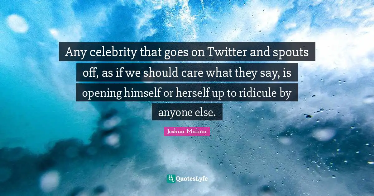 Any celebrity that goes on Twitter and spouts off, as if we should care what they say, is opening himself or herself up to ridicule by anyone else.