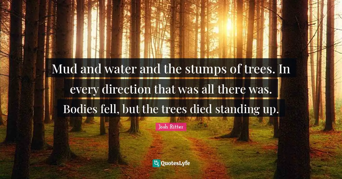 Mud and water and the stumps of trees. In every direction that was all there was. Bodies fell, but the trees died standing up.
