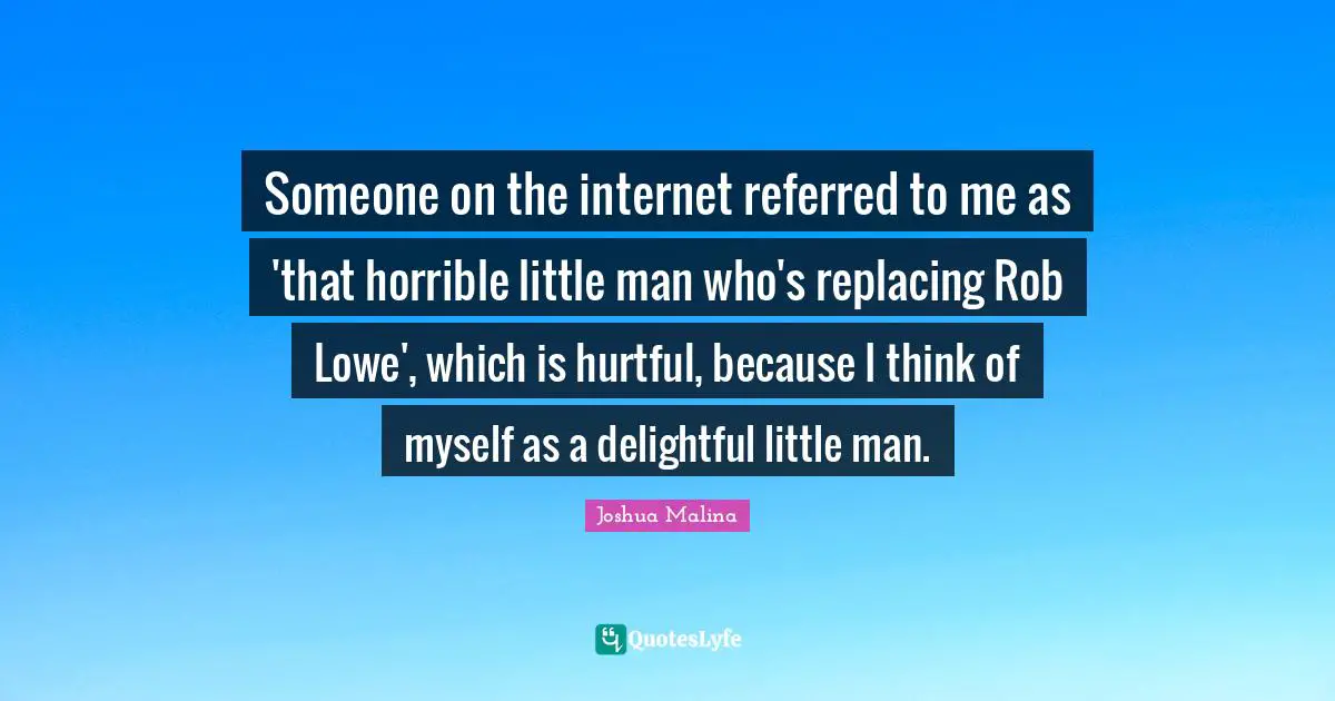 Someone on the internet referred to me as 'that horrible little man who's replacing Rob Lowe', which is hurtful, because I think of myself as a delightful little man.