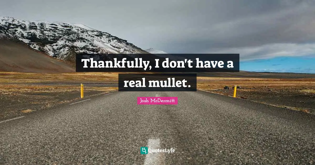 Thankfully, I don't have a real mullet.