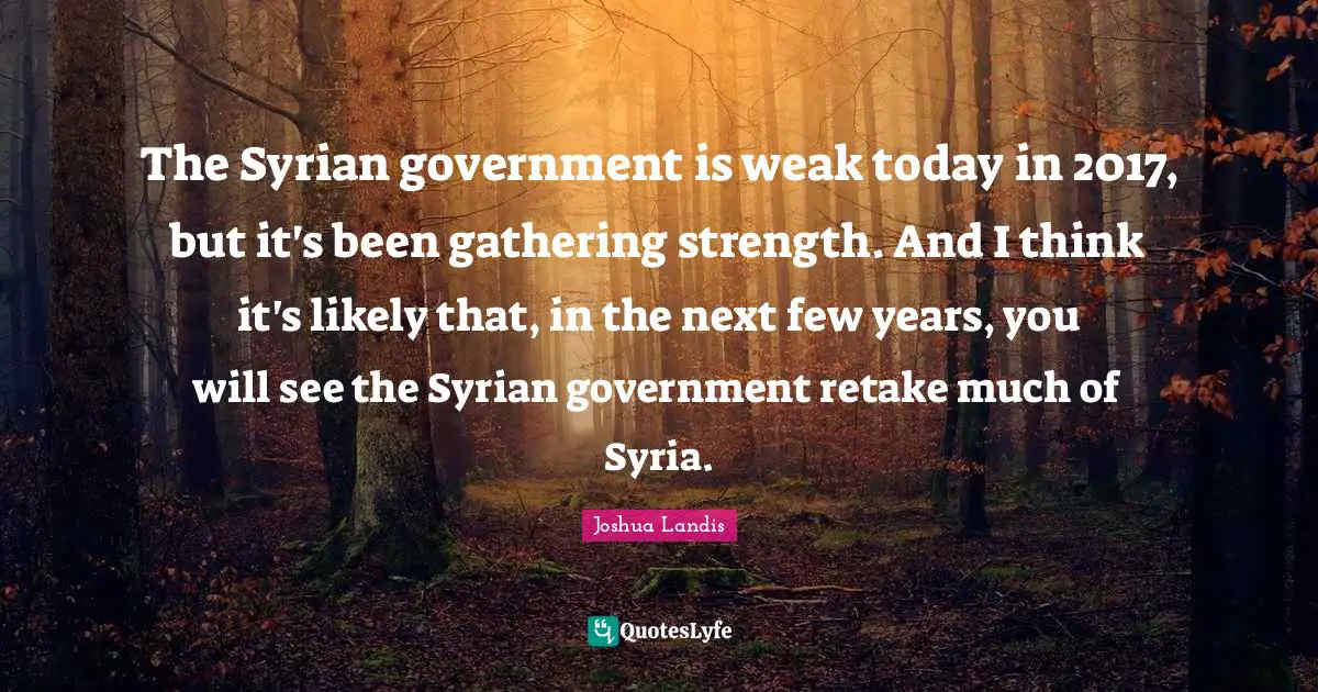The Syrian government is weak today in 2017, but it's been gathering strength. And I think it's likely that, in the next few years, you will see the Syrian government retake much of Syria.