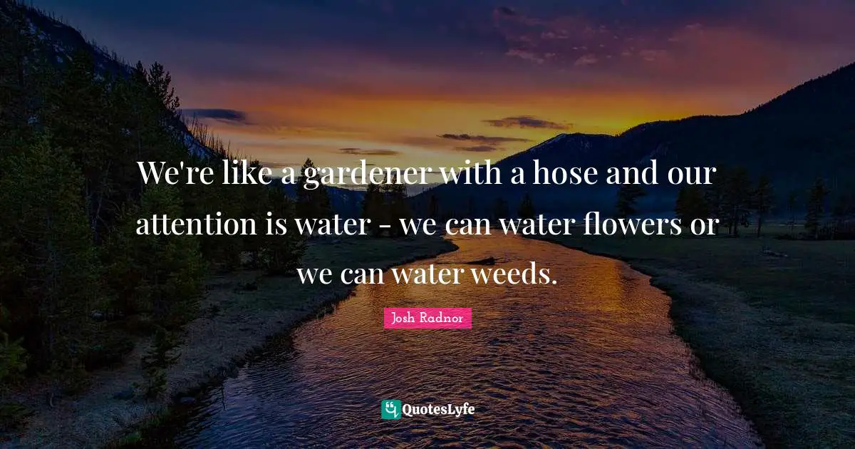 Josh Radnor Quotes: "We're like a gardener with a hose and our attention is water - we can water flowers or we can water weeds."