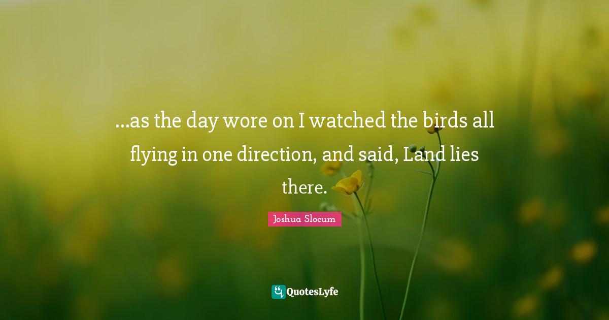 ...as the day wore on I watched the birds all flying in one direction, and said, Land lies there.