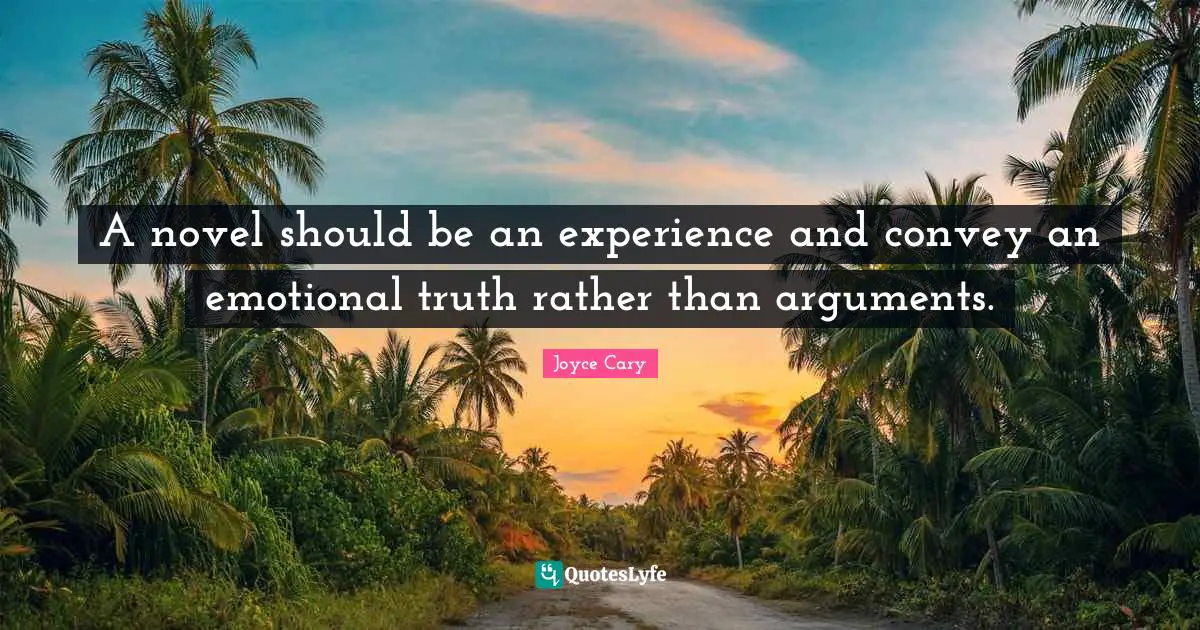 A novel should be an experience and convey an emotional truth rather than arguments.