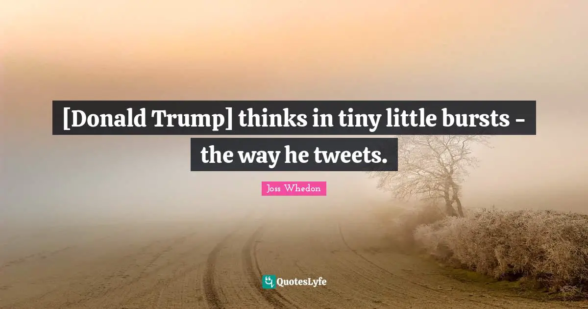 [Donald Trump] thinks in tiny little bursts - the way he tweets.