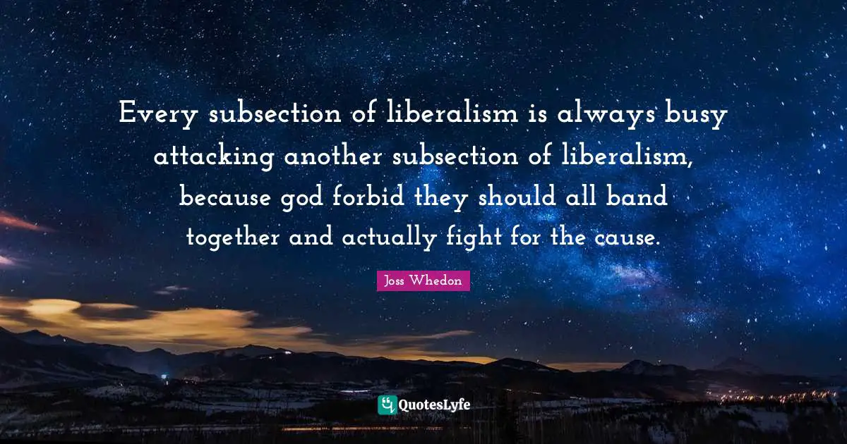 Every subsection of liberalism is always busy attacking another subsection of liberalism, because god forbid they should all band together and actually fight for the cause.