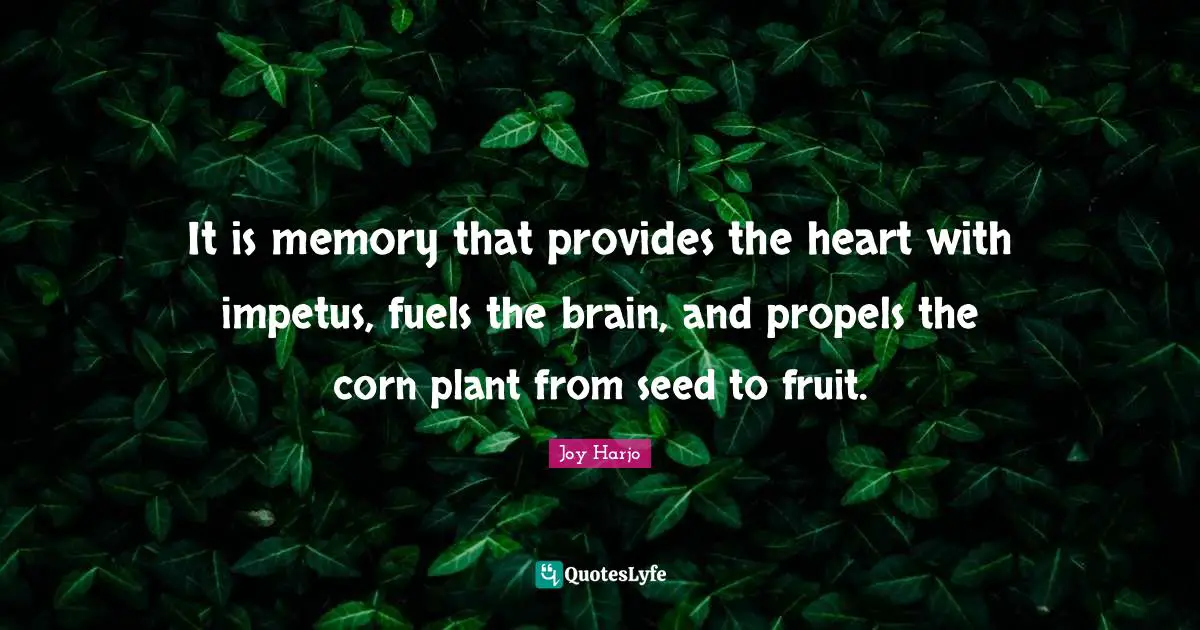 It is memory that provides the heart with impetus, fuels the brain, and propels the corn plant from seed to fruit.