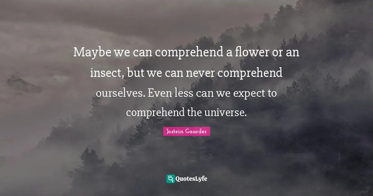 Maybe we can comprehend a flower or an insect, but we can never comprehend ourselves. Even less can we expect to comprehend the universe.