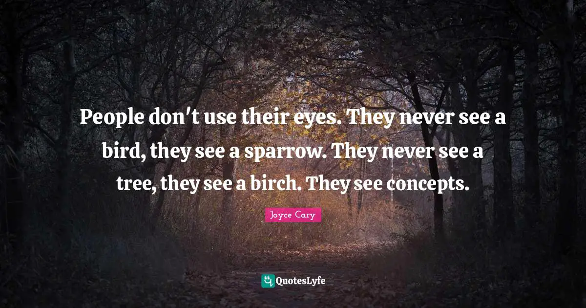 People don't use their eyes. They never see a bird, they see a sparrow. They never see a tree, they see a birch. They see concepts.