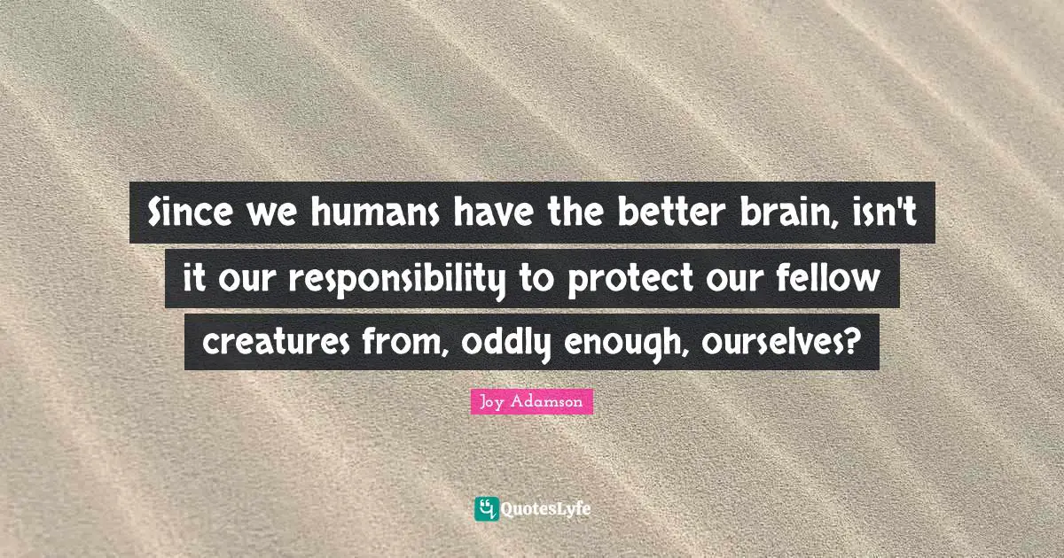 Since we humans have the better brain, isn't it our responsibility to protect our fellow creatures from, oddly enough, ourselves?