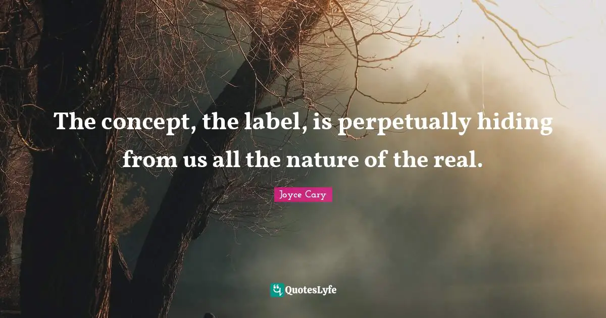 The concept, the label, is perpetually hiding from us all the nature of the real.