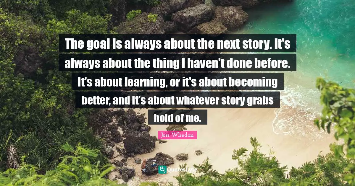 The goal is always about the next story. It's always about the thing I haven't done before. It's about learning, or it's about becoming better, and it's about whatever story grabs hold of me.