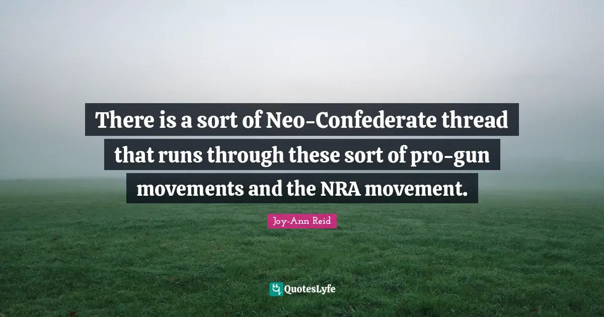 There is a sort of Neo-Confederate thread that runs through these sort of pro-gun movements and the NRA movement.