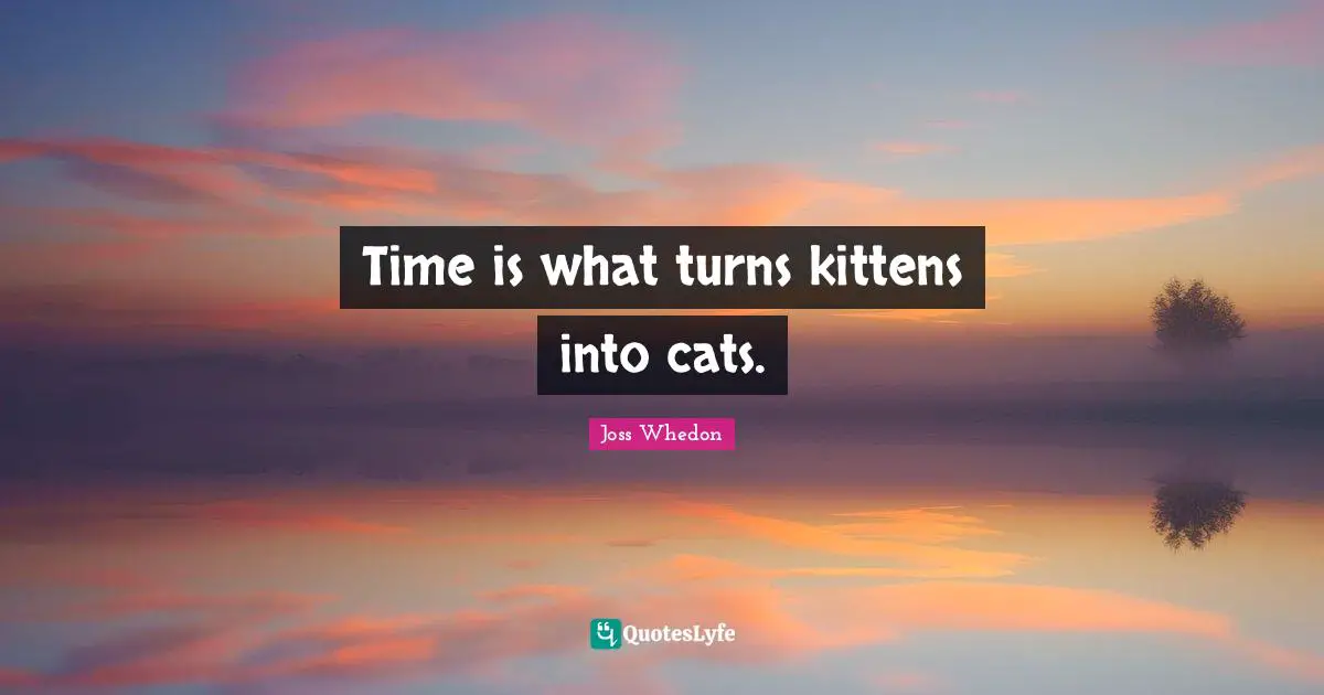 Time is what turns kittens into cats.