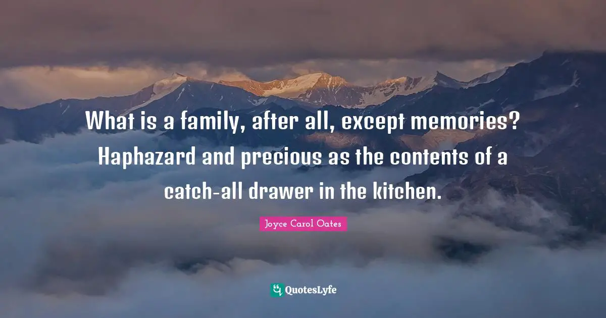 What is a family, after all, except memories? Haphazard and precious as the contents of a catch-all drawer in the kitchen.