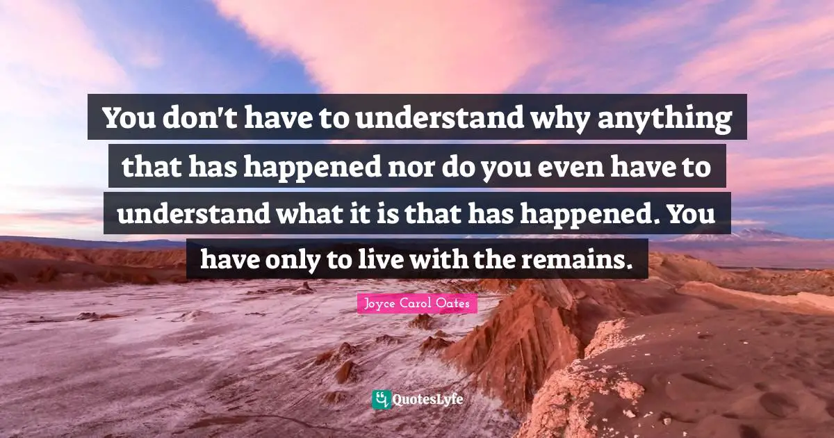 You don't have to understand why anything that has happened nor do you even have to understand what it is that has happened. You have only to live with the remains.