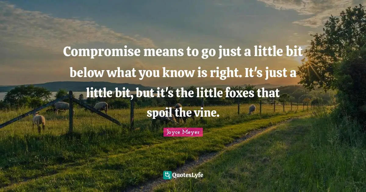 Vines Quotes: "Compromise means to go just a little bit below what you know is right. It's just a little bit, but it's the little foxes that spoil the vine."