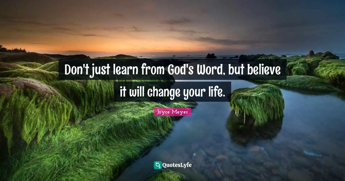 Don't just learn from God's Word, but believe it will change your life.