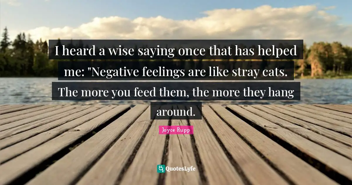 Cat Quotes: "I heard a wise saying once that has helped me: "Negative feelings are like stray cats. The more you feed them, the more they hang around."