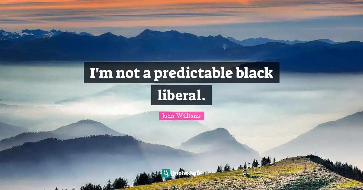 I'm not a predictable black liberal.