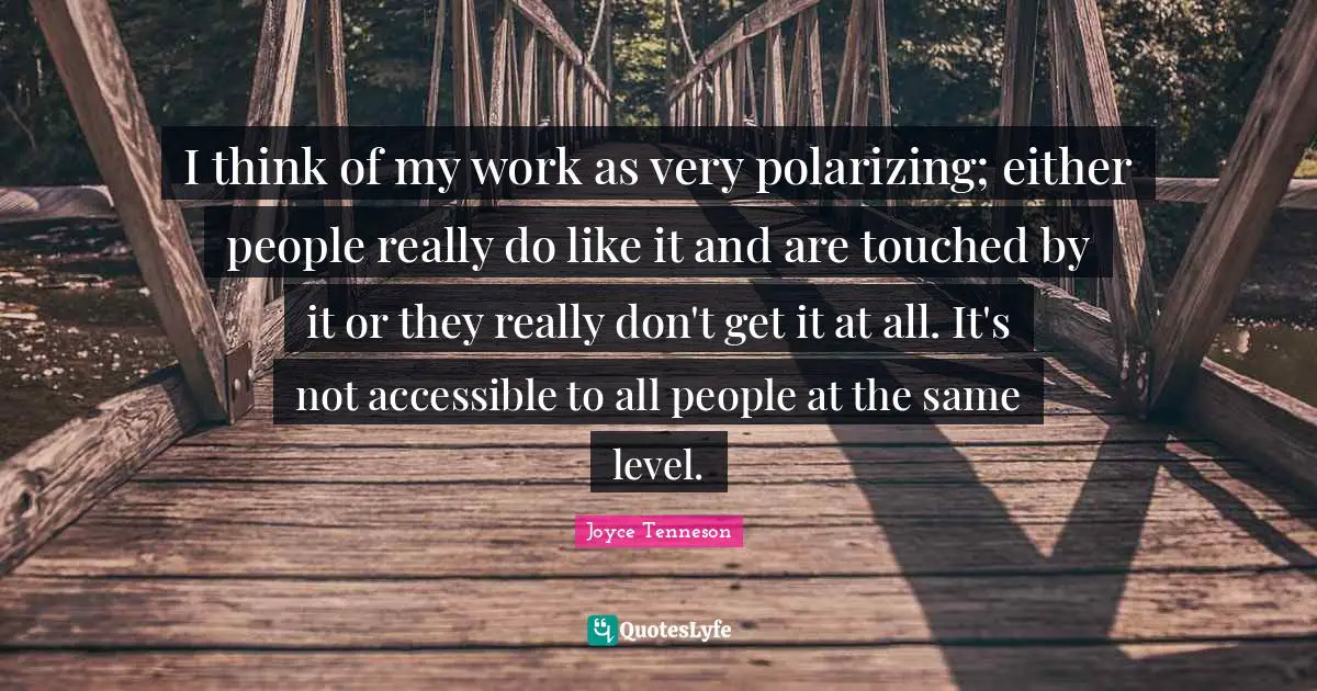 Polarizing Quotes: "I think of my work as very polarizing; either people really do like it and are touched by it or they really don't get it at all. It's not accessible to all people at the same level."