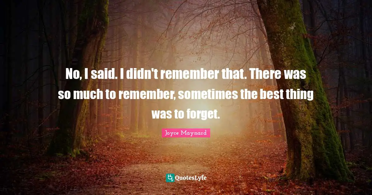 No, I said. I didn't remember that. There was so much to remember, sometimes the best thing was to forget.