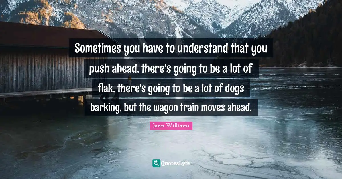 Sometimes you have to understand that you push ahead, there's going to be a lot of flak, there's going to be a lot of dogs barking, but the wagon train moves ahead.