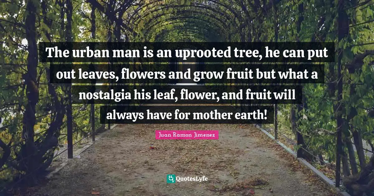 The urban man is an uprooted tree, he can put out leaves, flowers and grow fruit but what a nostalgia his leaf, flower, and fruit will always have for mother earth!