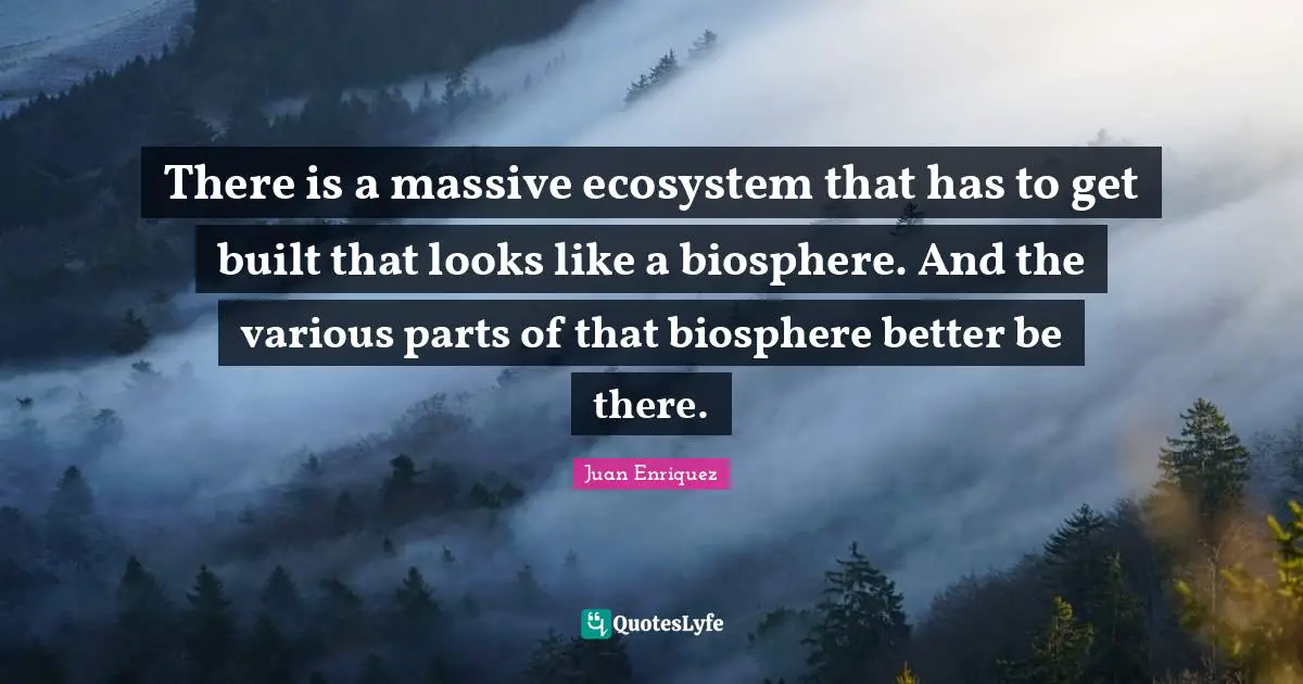 There is a massive ecosystem that has to get built that looks like a biosphere. And the various parts of that biosphere better be there.