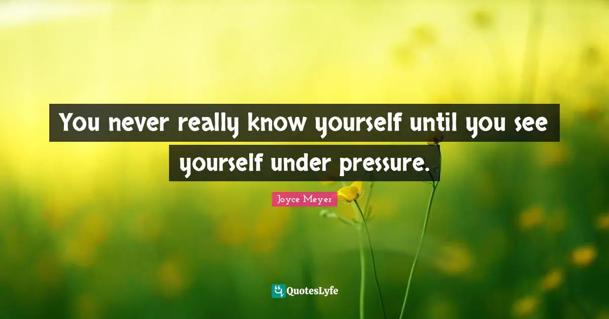 Know Yourself Quotes: "You never really know yourself until you see yourself under pressure."
