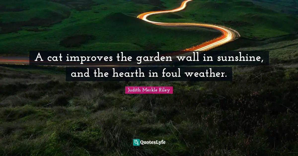 A cat improves the garden wall in sunshine, and the hearth in foul weather.