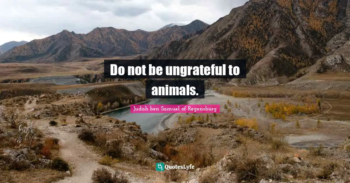 Do not be ungrateful to animals.