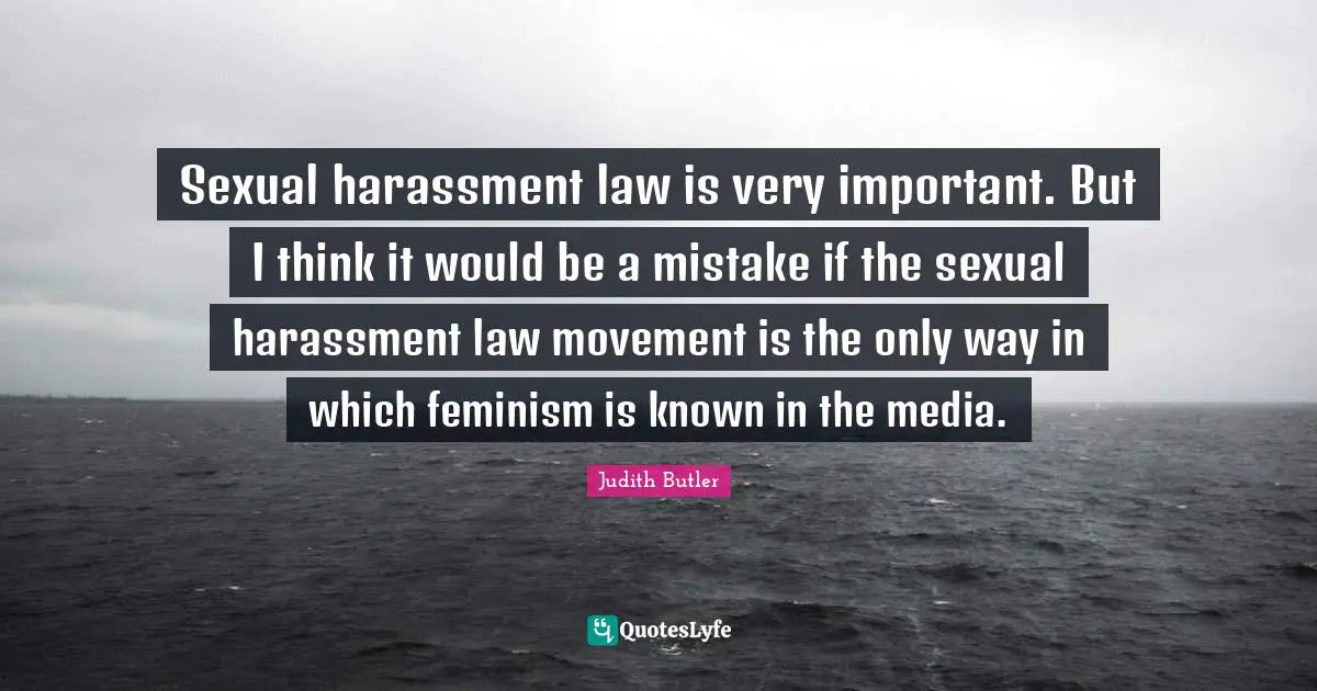 Sexual harassment law is very important. But I think it would be a mistake if the sexual harassment law movement is the only way in which feminism is known in the media.