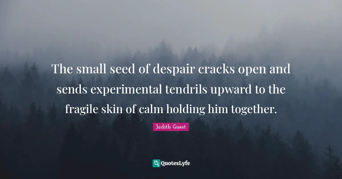 The small seed of despair cracks open and sends experimental tendrils upward to the fragile skin of calm holding him together.
